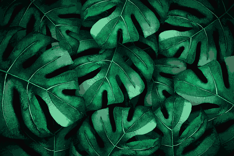 How You Manage Presentations?